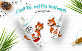 6 Best Tick and Flea Treatments for Cats in India